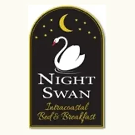 nightswan brand logo for nightswan.com