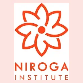 niroga brand logo for niroga.org