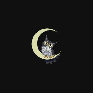 niteowlink brand logo for niteowlink.com