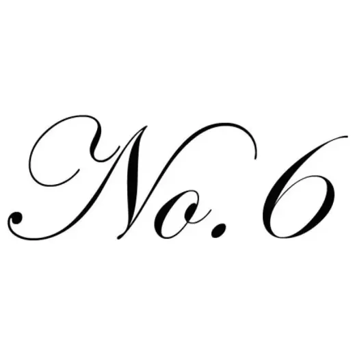 No 6 Store brand logo for no6store.com
