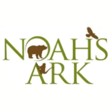 noahs-ark brand logo for noahs-ark.org