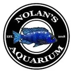 nolansaquarium brand logo for nolansaquarium.co
