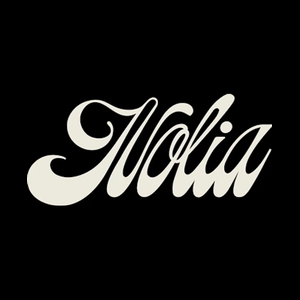 noliakitchen brand logo for noliakitchen.com