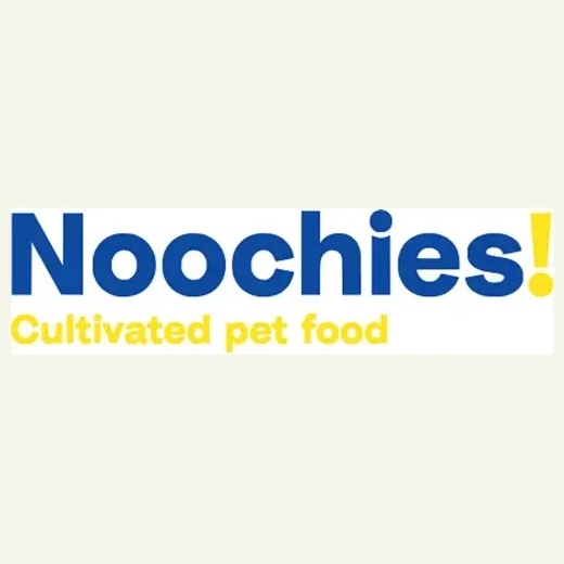 noochies brand logo for noochies.co