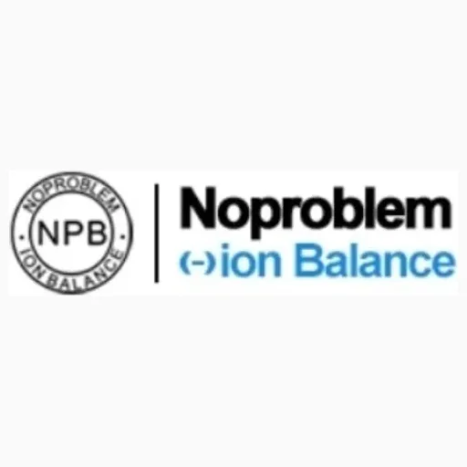 noproblemion brand logo for noproblemion.com