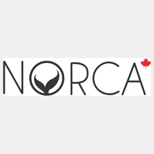 norcaswim brand logo for norcaswim.com