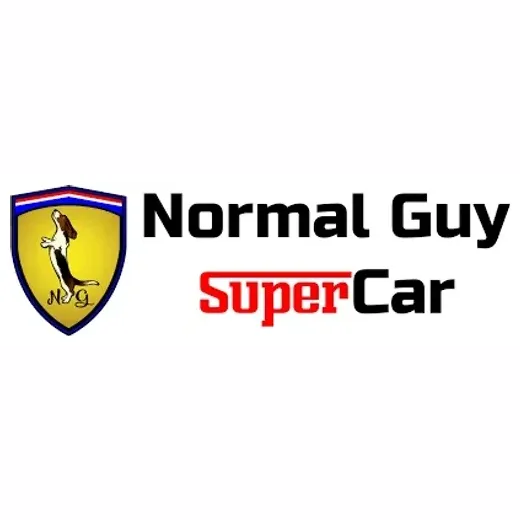normalguysupercar brand logo for normalguysupercar.com