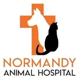 normandyblvdanimalhospital brand logo for normandyblvdanimalhospital.com