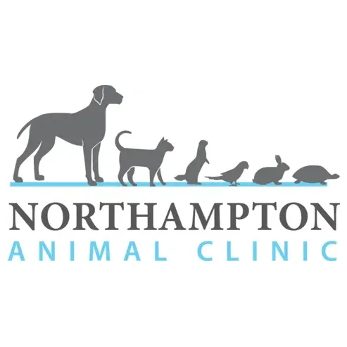northamptonanimalclinic brand logo for northamptonanimalclinic.com