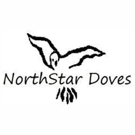 northstardoves brand logo for northstardoves.com