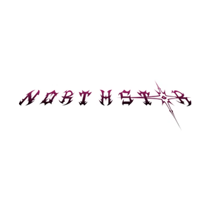 northstargrounding brand logo for northstargrounding.com
