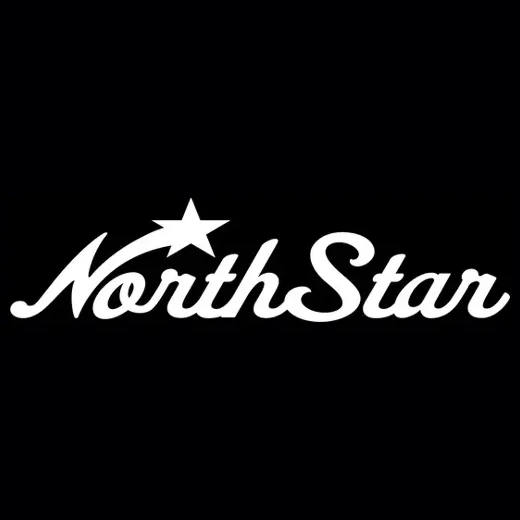 northstarstudios brand logo for northstarstudios.art