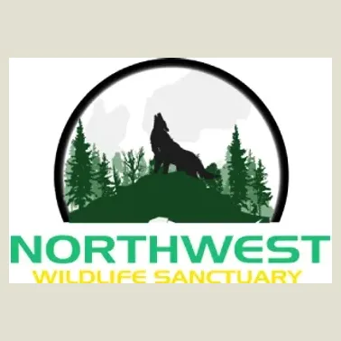 northwestwildlifesanctuary brand logo for northwestwildlifesanctuary.com