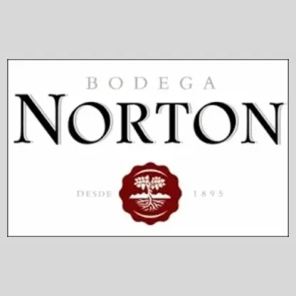 norton brand logo for norton.com.ar