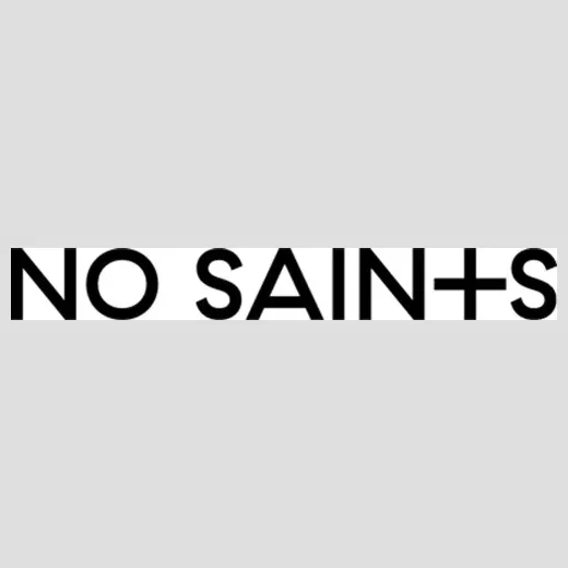 nosaints brand logo for nosaints.co