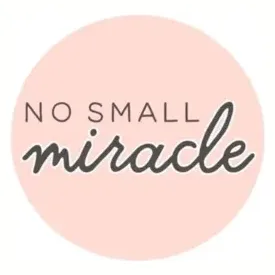 nosmallmiraclechildrensboutique brand logo for nosmallmiraclechildrensboutique.com