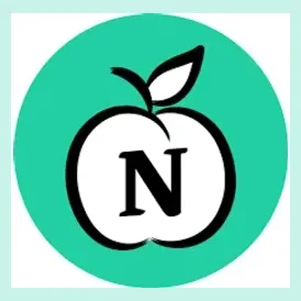 notion4teachers brand logo for notion4teachers.com