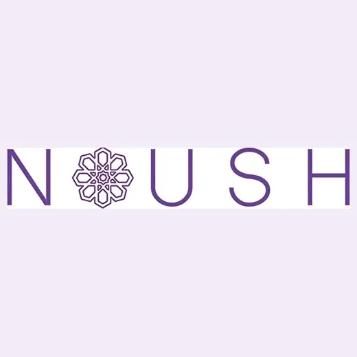 noushjewelry brand logo for noushjewelry.com