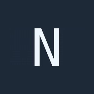 novelvisionai brand logo for novelvisionai.art