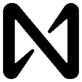 npunks brand logo for npunks.io