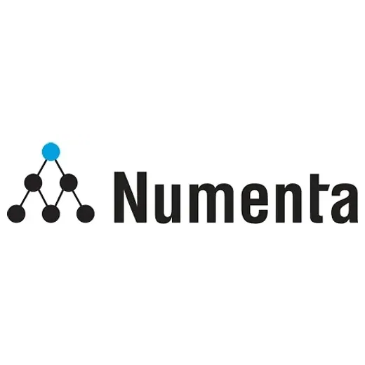 numenta brand logo for numenta.com