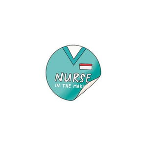 NurseInTheMaking brand logo for anurseinthemaking.com