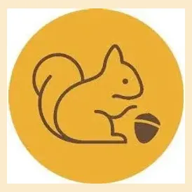 nutbox brand logo for nutbox.io