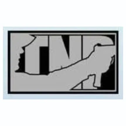 Bigcartel brand logo for nutnfancy.bigcartel.com