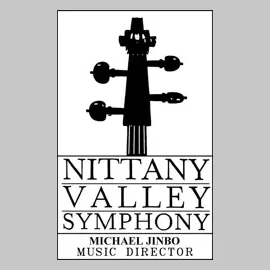nvs brand logo for nvs.org