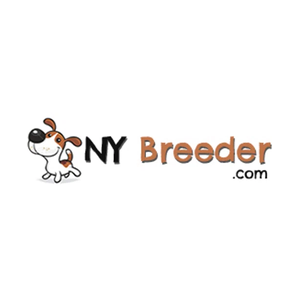 nybreeder brand logo for nybreeder.com