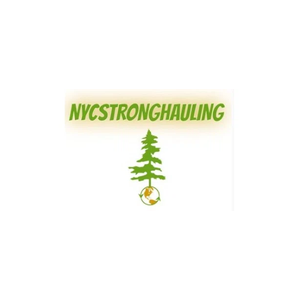nycstronghauling brand logo for nycstronghauling.com