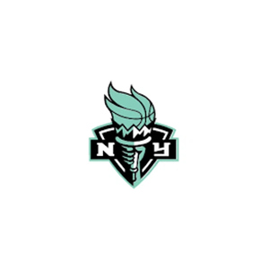 nylibertystore brand logo for nylibertystore.com