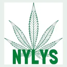 nylys brand logo for nylys.com