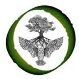 oaktreeowlbookkeeping brand logo for oaktreeowlbookkeeping.com