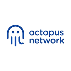 oct brand logo for oct.network