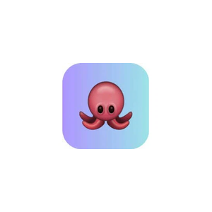 octo brand logo for octo.fi