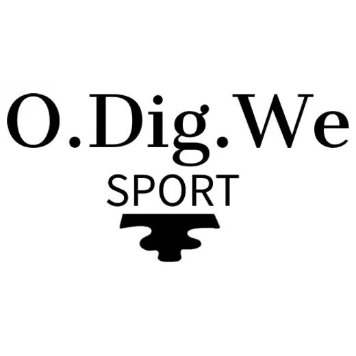 odigwesport brand logo for odigwesport.com