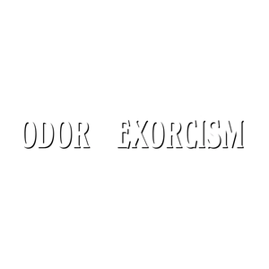 odorexorcism brand logo for odorexorcism.com