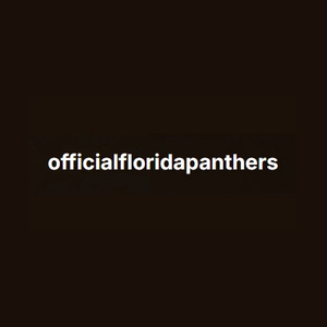 officialfloridapanthers brand logo for officialfloridapanthers.com