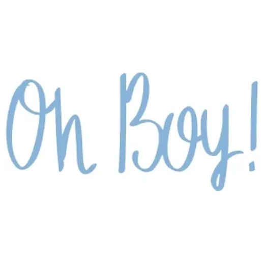 ohboytees brand logo for ohboytees.com