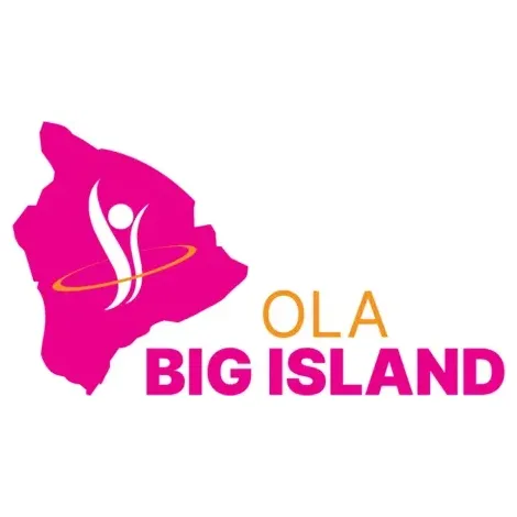 olabigisland brand logo for olabigisland.com