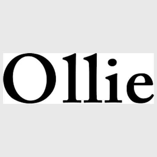 olliesmile brand logo for olliesmile.com