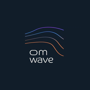 omwavehome brand logo for omwavehome.com
