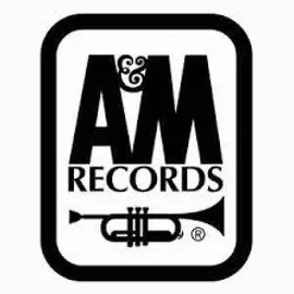 onamrecords brand logo for onamrecords.com