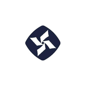 onston brand logo for onston.network