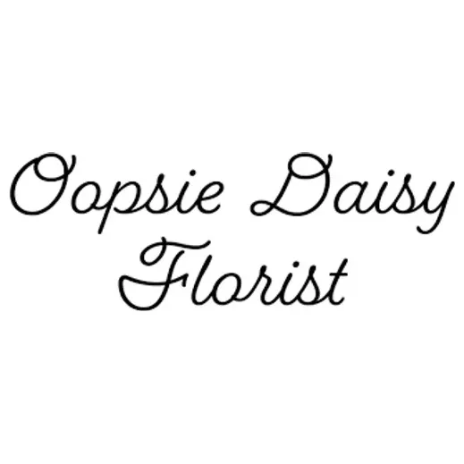 oopsiedaisyflorist2023 brand logo for oopsiedaisyflorist2023.com