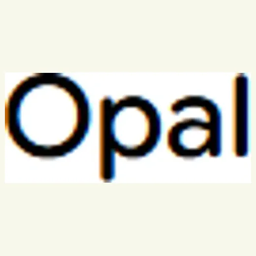 Withgoogle brand logo for opal.withgoogle.com