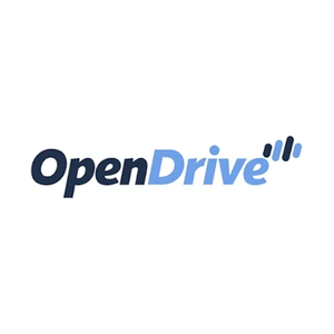 opendrive brand logo for opendrive.com