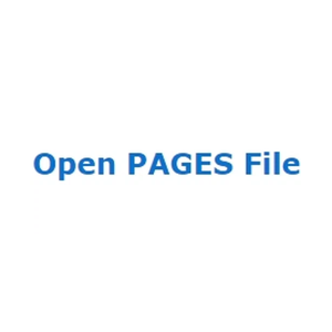 openpagesfile brand logo for openpagesfile.com