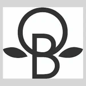 orangeblossomspecialevents brand logo for orangeblossomspecialevents.com